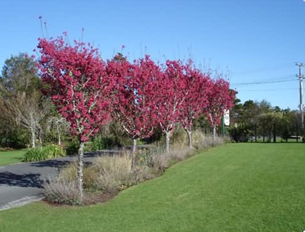 Warkworth Country House Exterior foto
