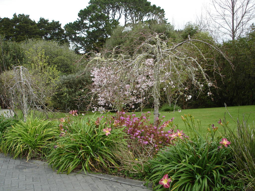 Warkworth Country House Exterior foto